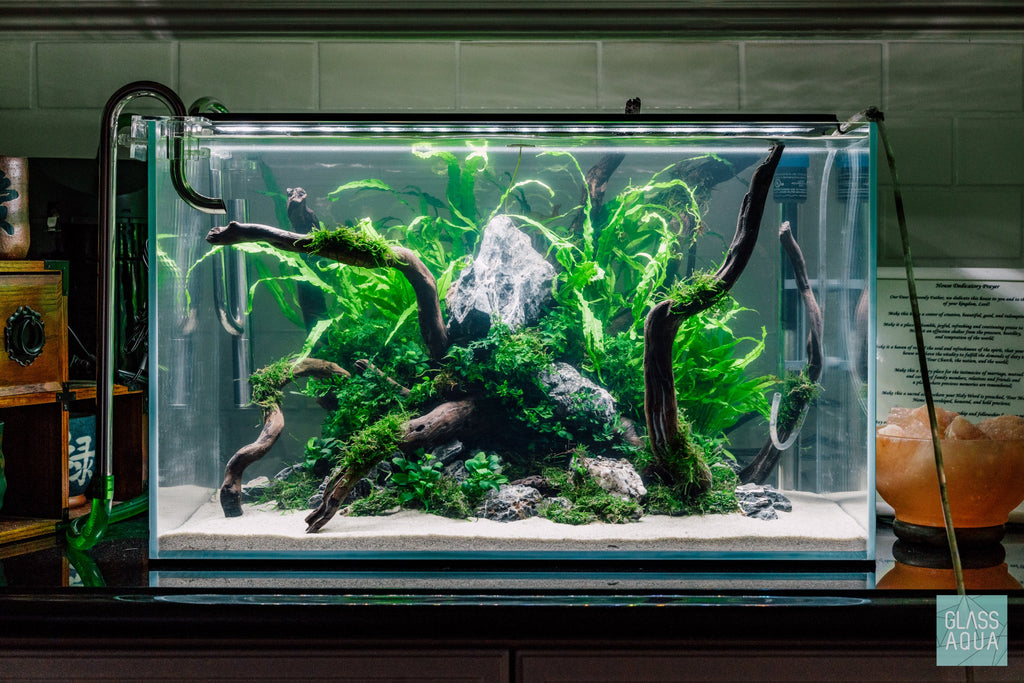 Rimless Glass Aquarium, UNS Standard, Silicone Construction, Rimless Tank Compatible for Planted Tanks, Shrimp Habitats and Aquascaping image 10