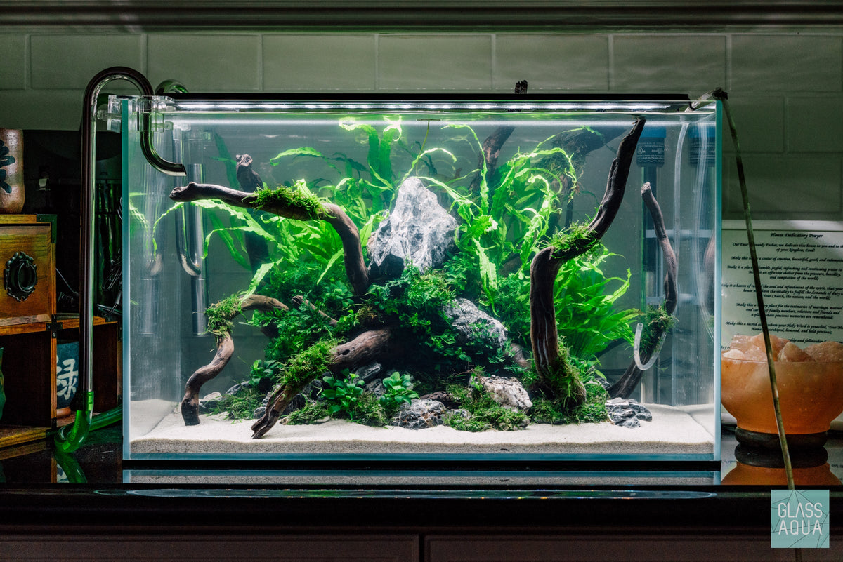 Rimless Glass Aquarium, UNS Standard, Silicone Construction, Rimless Tank Compatible for Planted Tanks, Shrimp Habitats and Aquascaping image 10