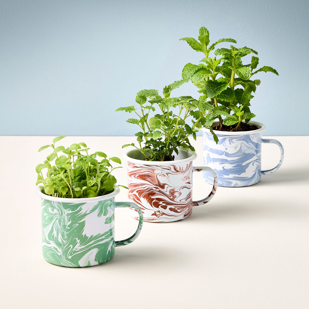 Coffee Mug, Altered Herb Grow Kits for Everyday Drinks, Home and Entertaining, Designed for Kitchen Tables, Workspaces and Daily Hydration image 10