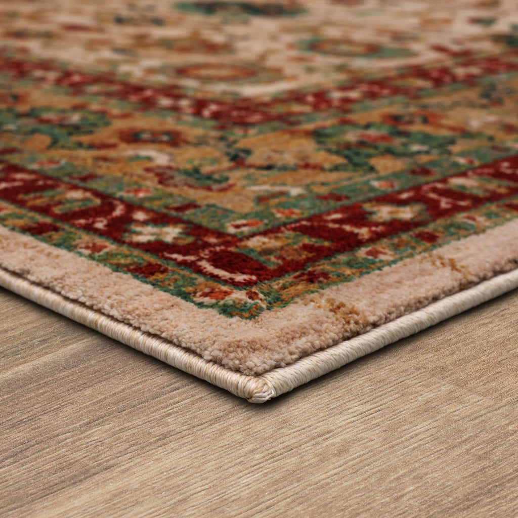 Area Rug, Spice Market Keralam Cream for Living Rooms, Bedrooms and Entryways, 5 Size Options image 11