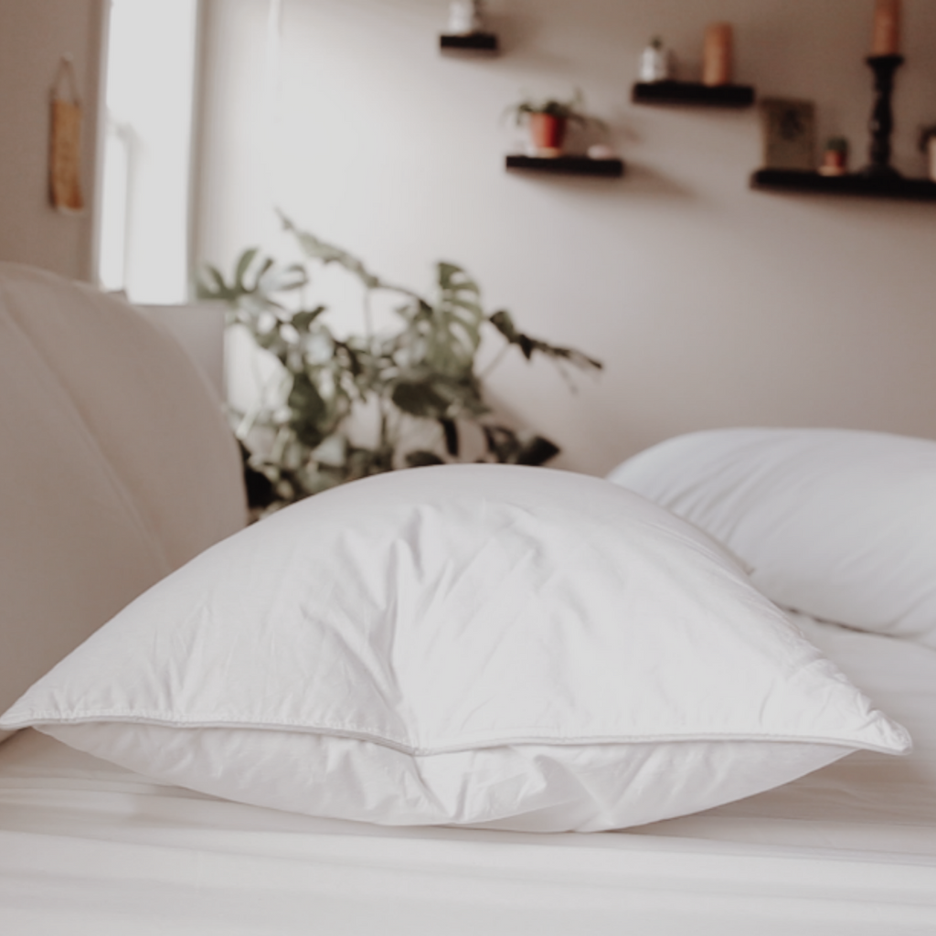 Bed Pillow, Down Dreams Classic Firm , Formerly Classic, Machine-Washable Care for Sleeping, Reading and Bedroom Comfort, 4 Size Options image 11