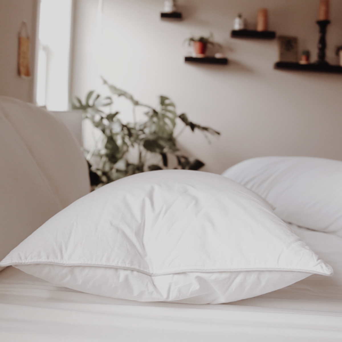 Bed Pillow, Down Dreams Classic Firm , Formerly Classic, Machine-Washable Care for Sleeping, Reading and Bedroom Comfort, 4 Size Options image 11