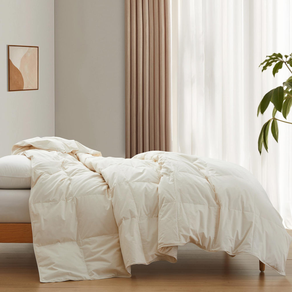 Down & Feather Comforter, Lightweight Organic Cotton for Everyday Bedding and Comfortable Sleep, 3 Sizes and 3 Colors image 11