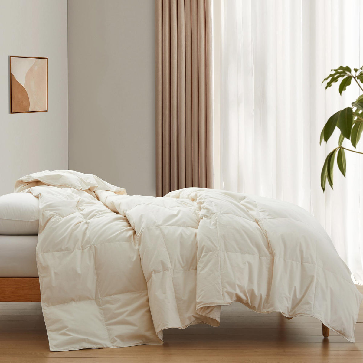 Down & Feather Comforter, Lightweight Organic Cotton for Everyday Bedding and Comfortable Sleep, 3 Sizes and 3 Colors image 11