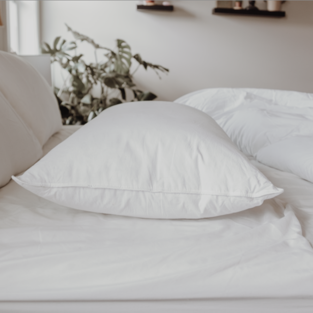 Bed Pillow, Down Dreams Classic Soft , Featured at Many, Breathable Construction for Everyday Sleep and Guest Room Bedding, 4 Size Options image 12