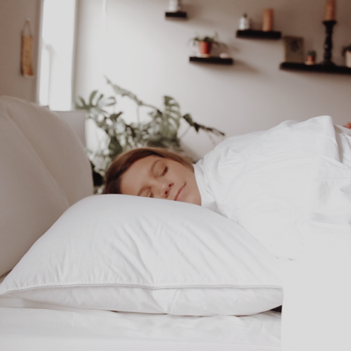 Bed Pillow, Down Dreams Classic Firm , Formerly Classic, Machine-Washable Care for Sleeping, Reading and Bedroom Comfort, 4 Size Options image 12