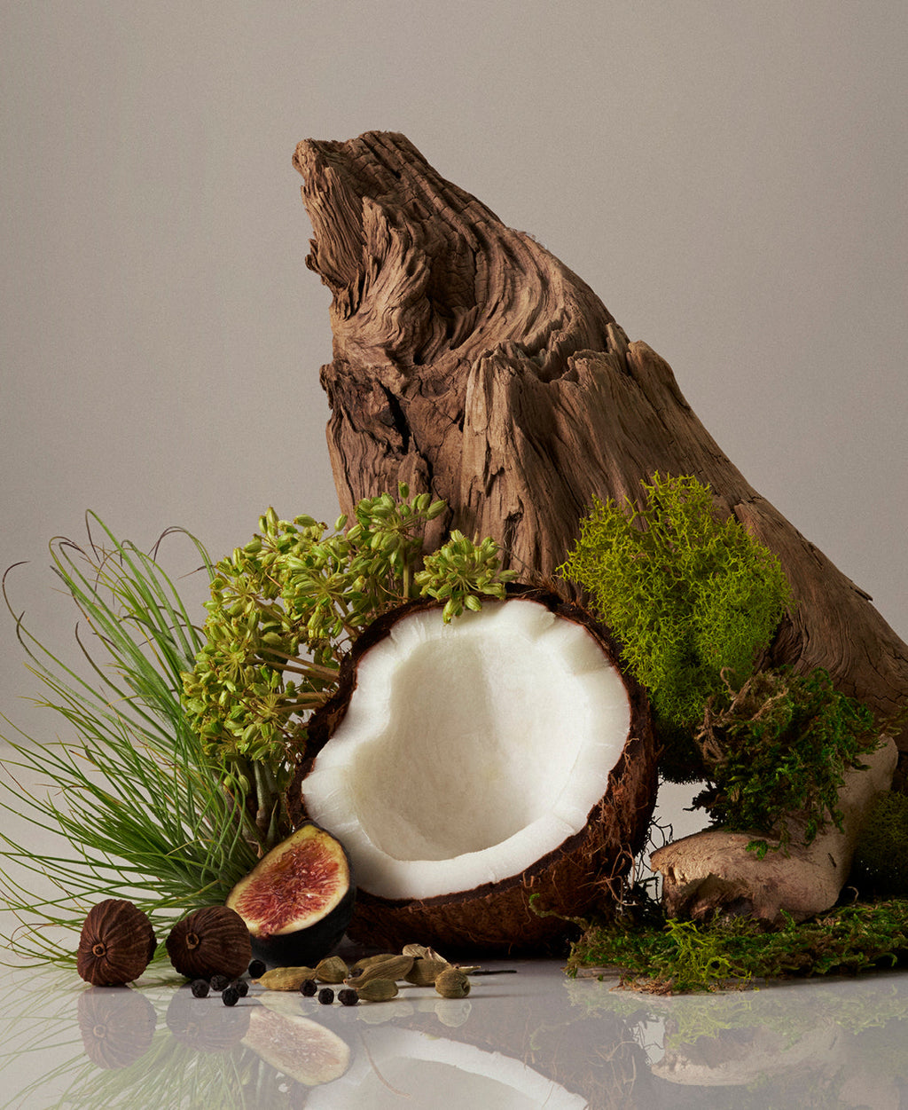 Decorative Candle, Organic Cotton Shell for Living Rooms, Bedrooms and Relaxing Evenings, 5 Fragrance Options image 13