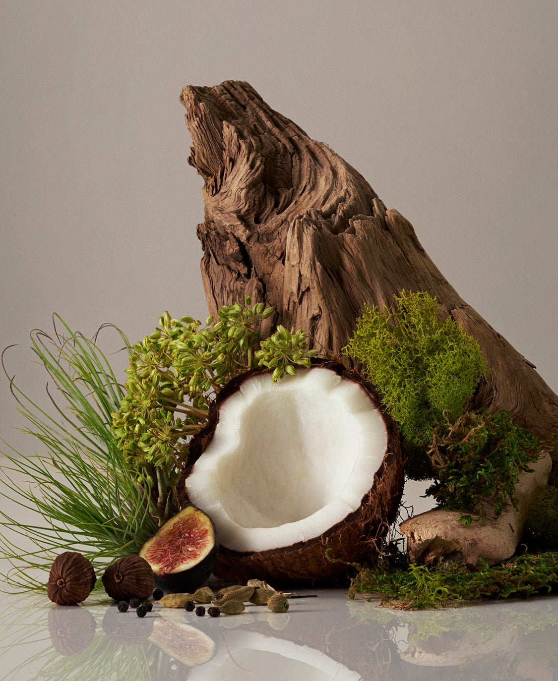 Decorative Candle, Organic Cotton Shell for Living Rooms, Bedrooms and Relaxing Evenings, 5 Fragrance Options image 13