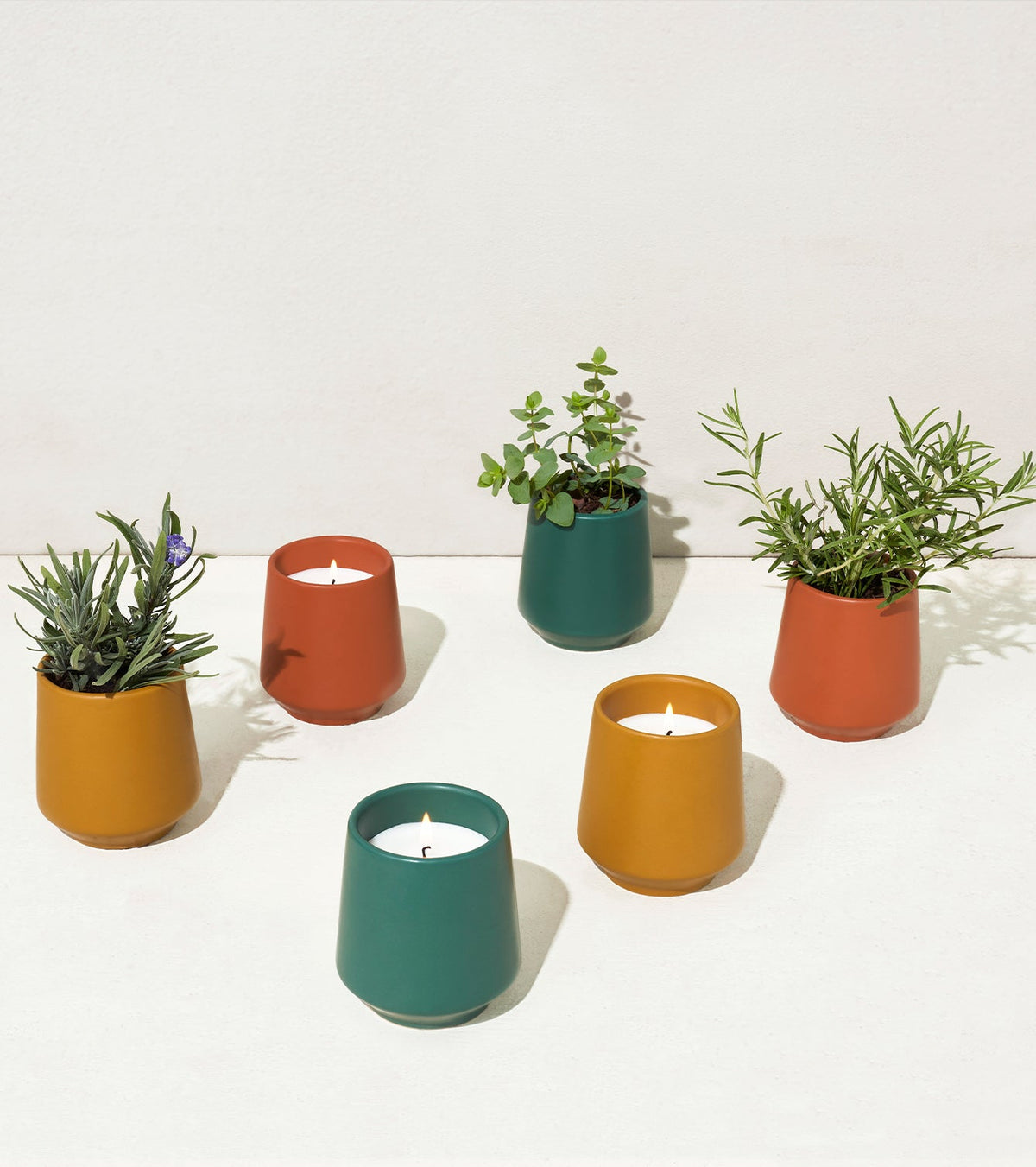 Decorative Candle, Rooted Candles for Living Rooms, Bedrooms and Relaxing Evenings, 4 Plant Type Options image 13
