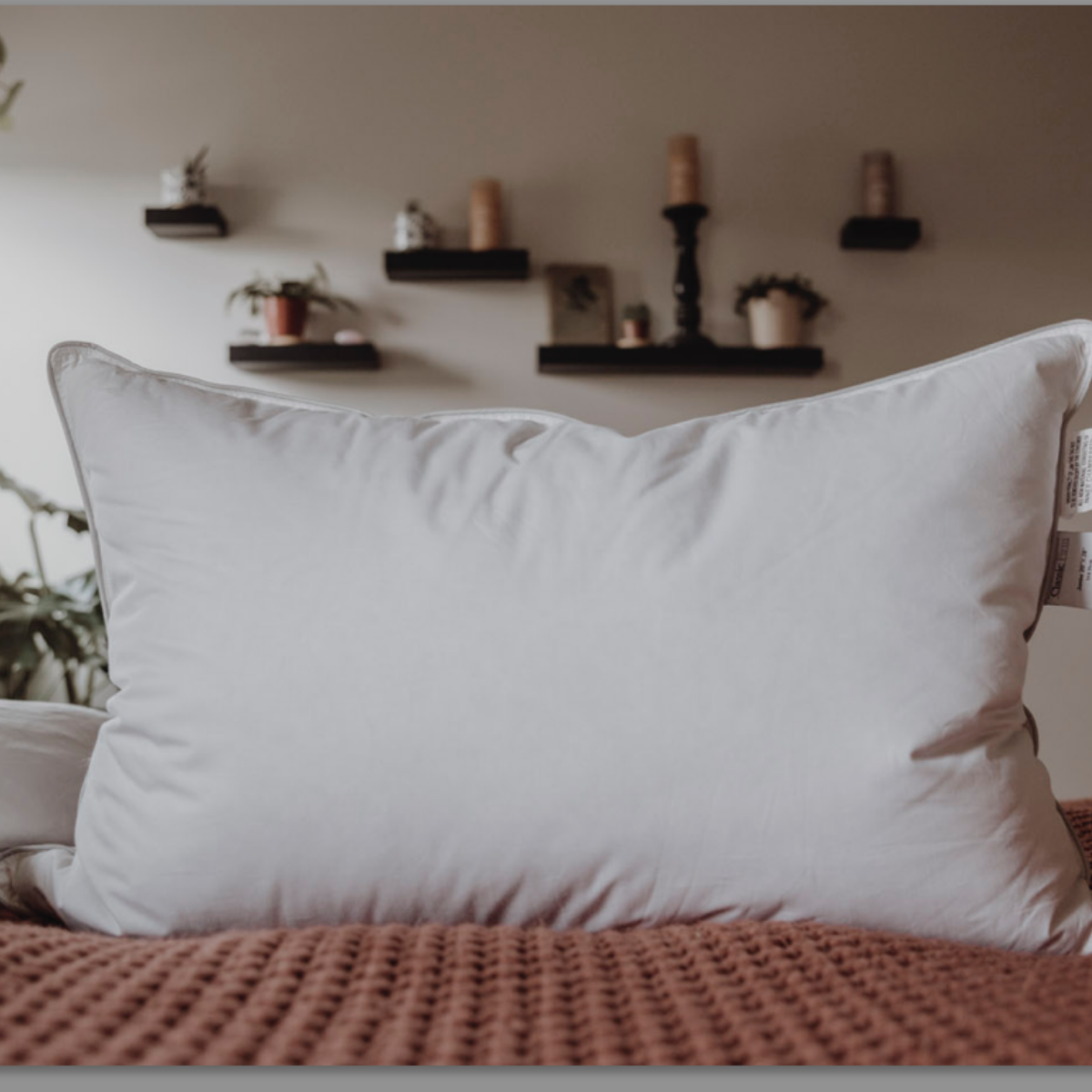 Bed Pillow, Down Dreams Classic Firm , Formerly Classic, Machine-Washable Care for Sleeping, Reading and Bedroom Comfort, 4 Size Options image 13