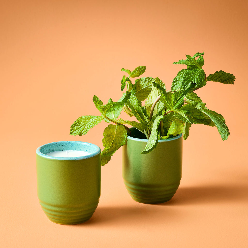Decorative Candle, Garden Vibes Planter 2 in 1 for Entryways, Mantels and Everyday Home Ambience, 6 Plant Type Options image 14
