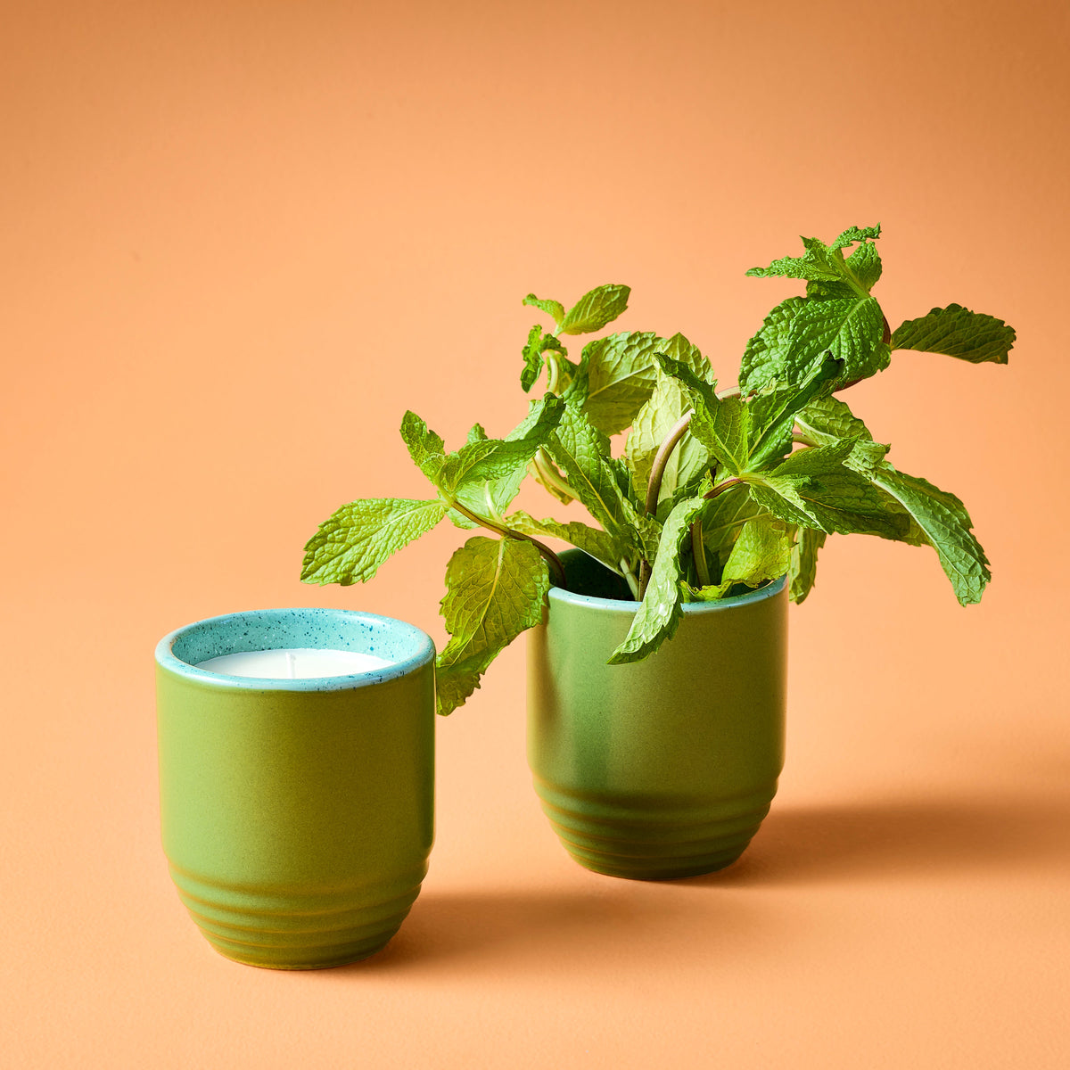 Decorative Candle, Garden Vibes Planter 2 in 1 for Entryways, Mantels and Everyday Home Ambience, 6 Plant Type Options image 14