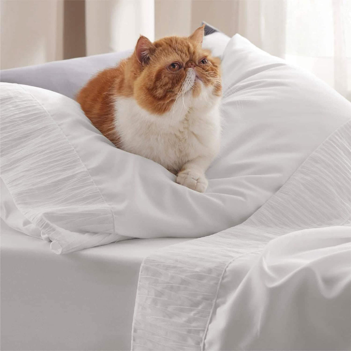 Bed Sheet Set, Ruched, Cooling Comfort, Breathable Construction for Master Bedrooms, Guest Beds and Daily Use, 7 Sizes and 14 Colors image 14