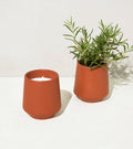 Decorative Candle, Rooted Candles for Living Rooms, Bedrooms and Relaxing Evenings, 4 Plant Type Options image 15