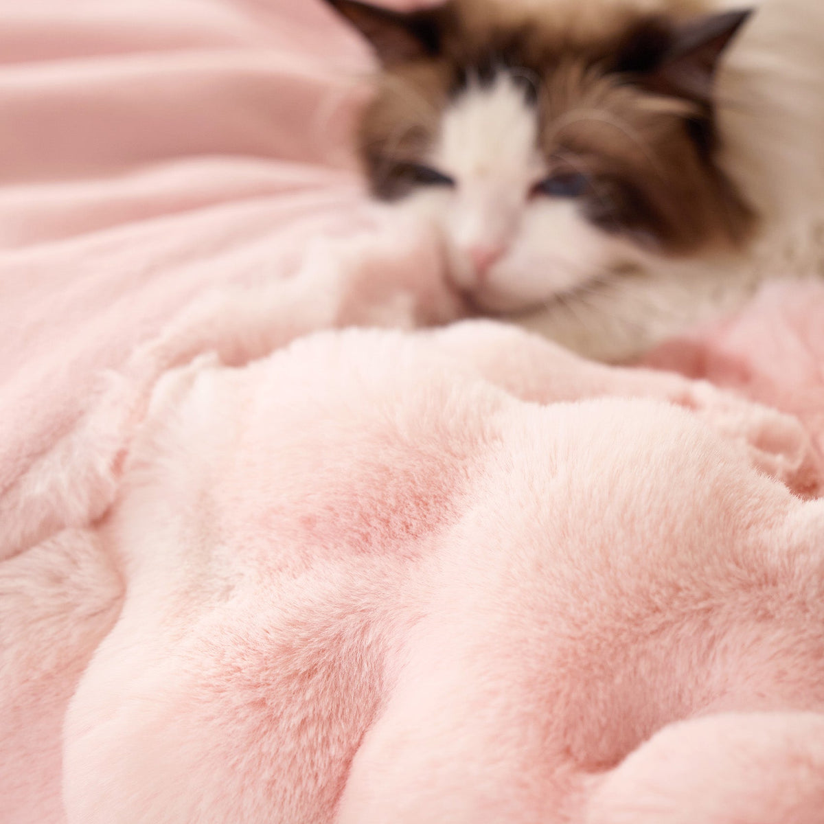 Cozy Throw Blanket, Bubble Faux Fur, Machine-Washable Care for Living Rooms, Bedrooms and Everyday Lounging, 3 Sizes and 11 Colors image 15