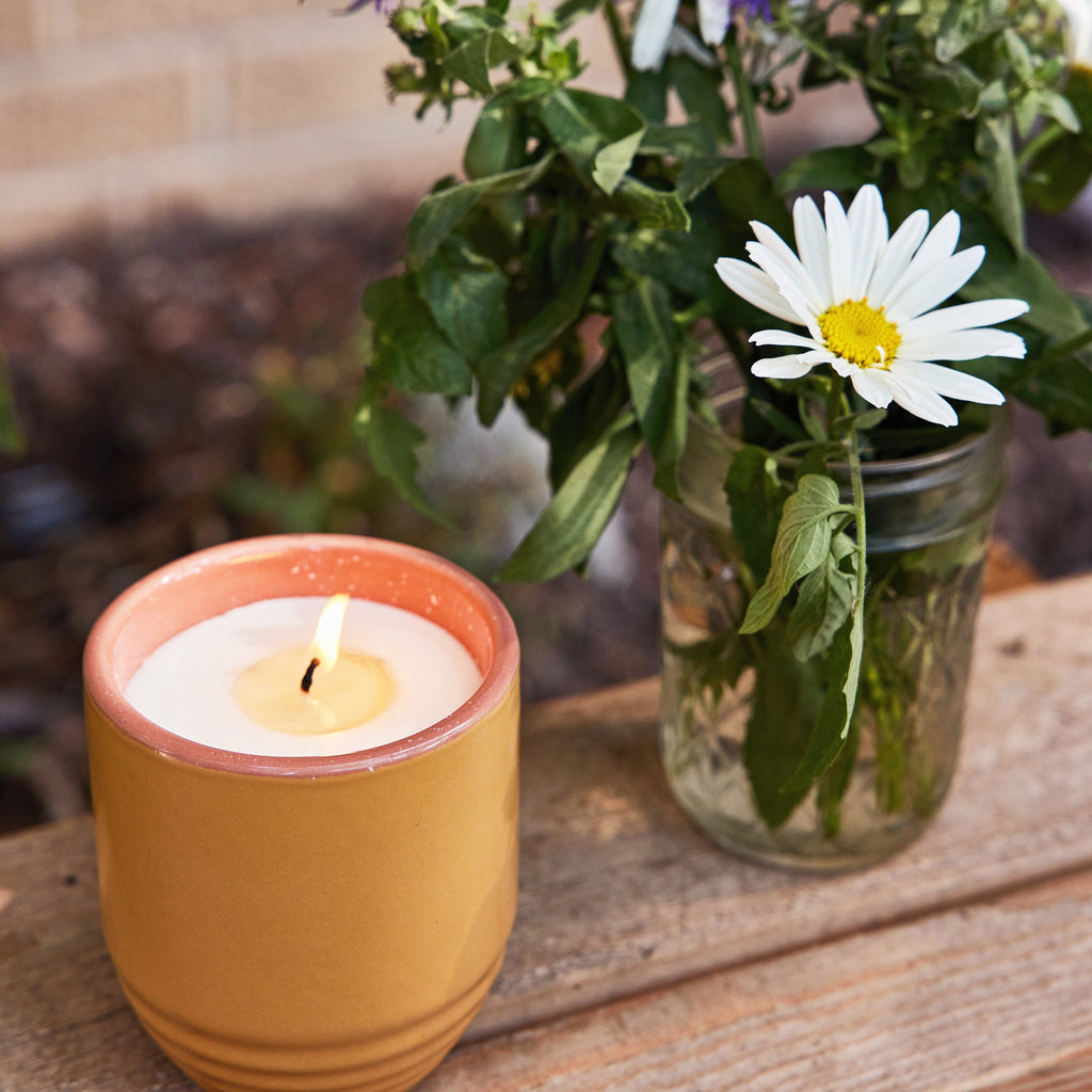 Decorative Candle, Garden Vibes Planter 2 in 1 for Entryways, Mantels and Everyday Home Ambience, 6 Plant Type Options image 15