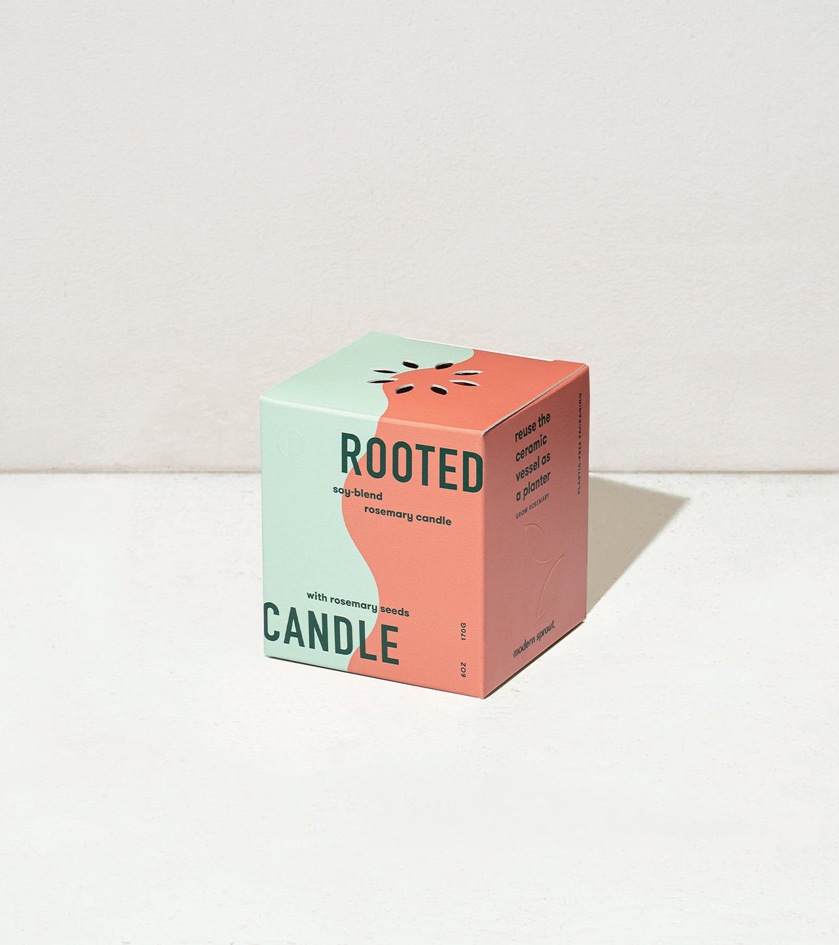 Decorative Candle, Rooted Candles for Living Rooms, Bedrooms and Relaxing Evenings, 4 Plant Type Options image 16