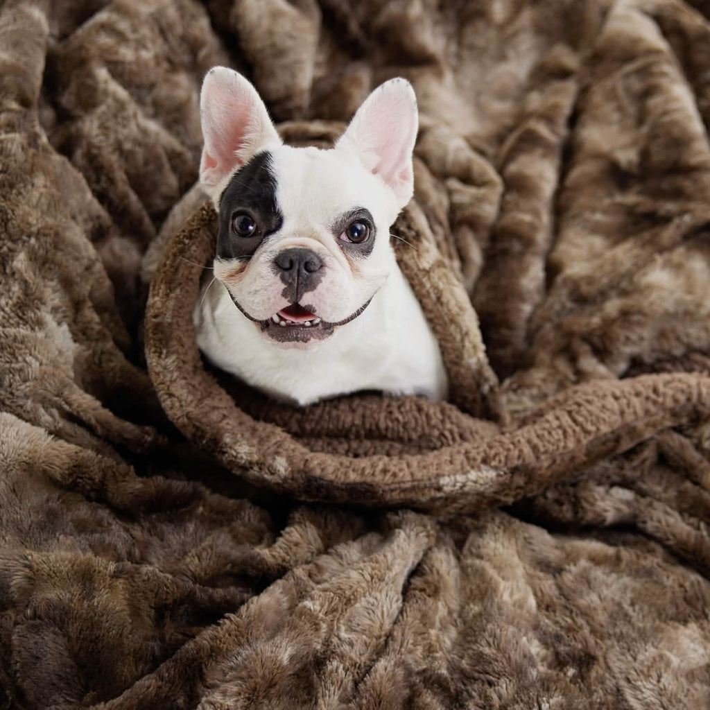Cozy Throw Blanket, Faux Fur Sherpa Fleece for Sofas, Beds and Relaxing at Home, 4 Sizes and 10 Colors image 16