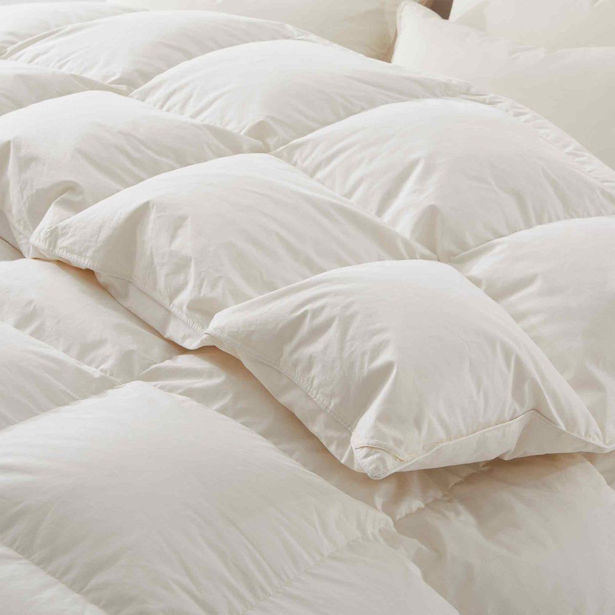 Down Comforter, Organic Cotton, Lightweight Design for Everyday Bedding and Comfortable Sleep, 4 Size Options image 17
