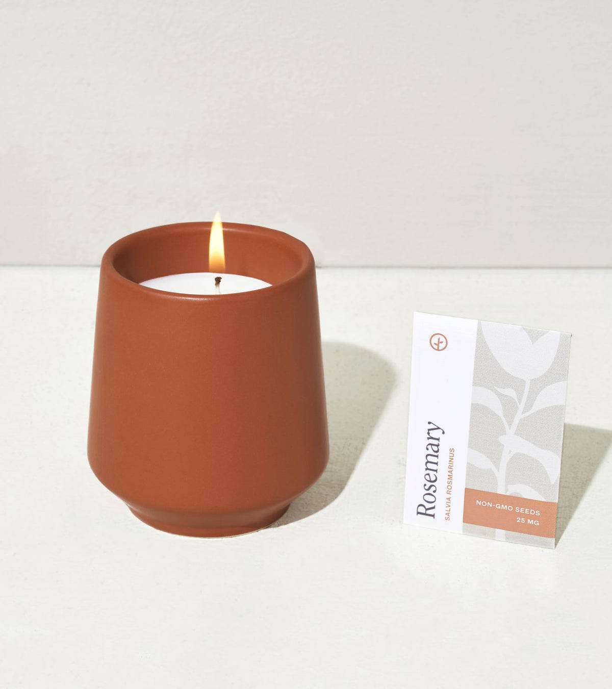 Decorative Candle, Rooted Candles for Living Rooms, Bedrooms and Relaxing Evenings, 4 Plant Type Options image 17