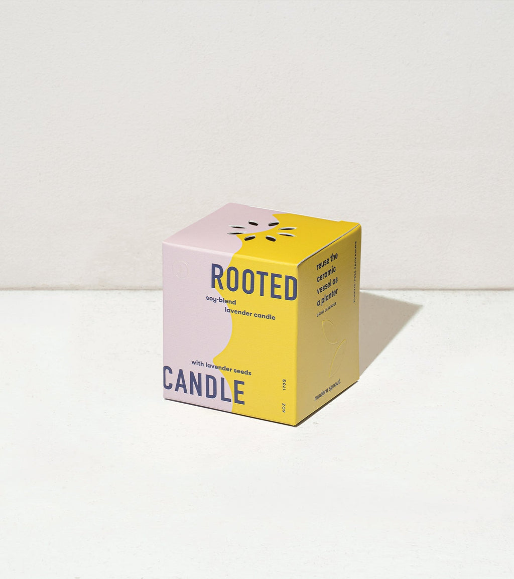 Decorative Candle, Rooted Candles for Living Rooms, Bedrooms and Relaxing Evenings, 4 Plant Type Options image 19