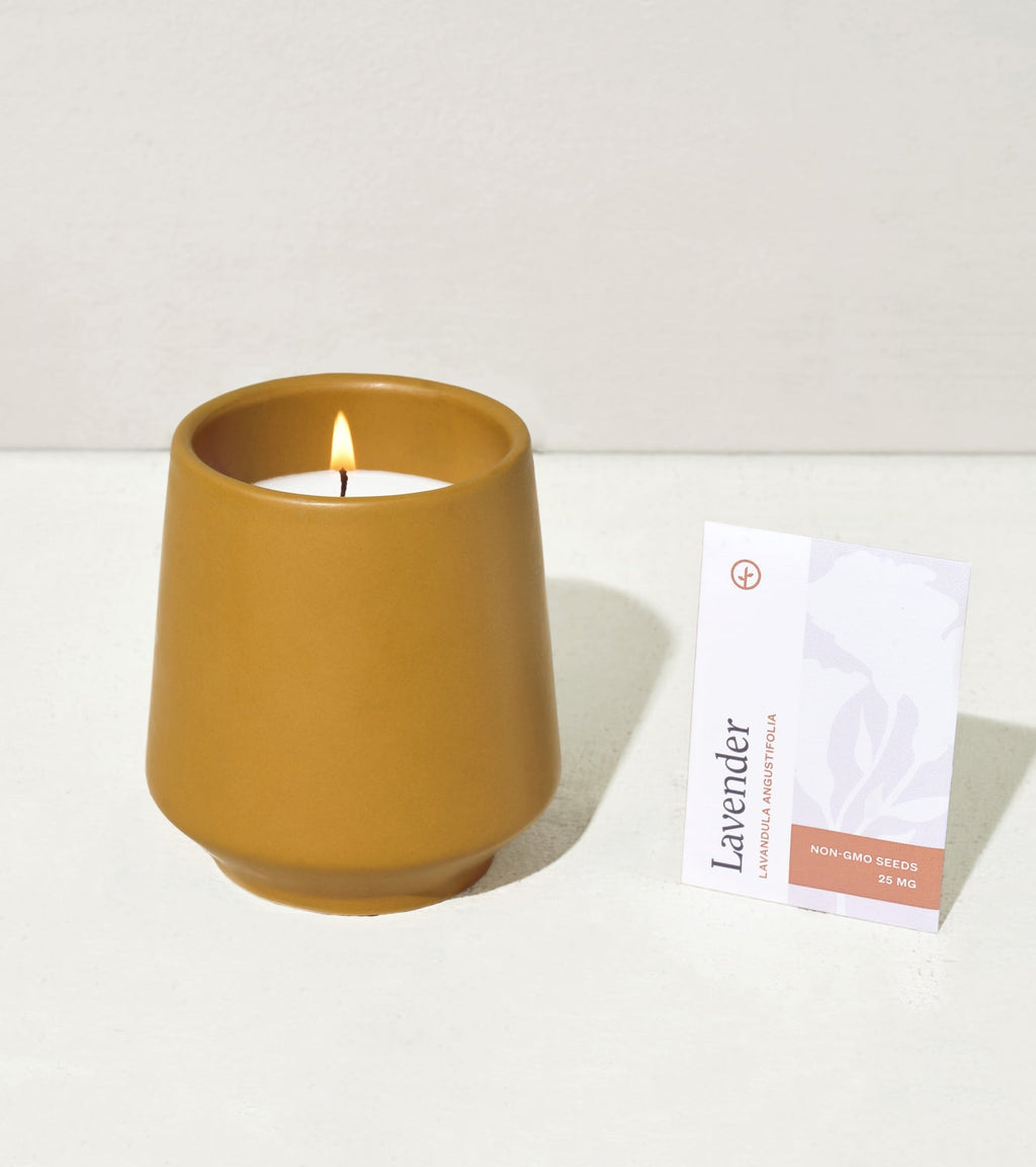 Decorative Candle, Rooted Candles for Living Rooms, Bedrooms and Relaxing Evenings, 4 Plant Type Options image 20