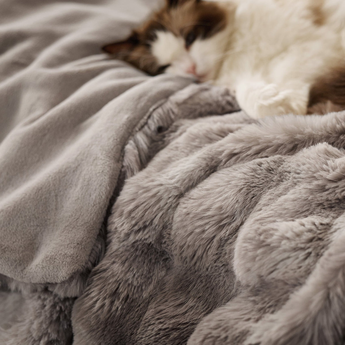Cozy Throw Blanket, Bubble Faux Fur, Machine-Washable Care for Living Rooms, Bedrooms and Everyday Lounging, 3 Sizes and 11 Colors image 21