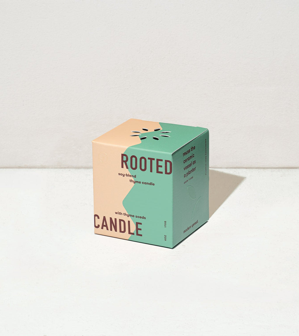 Decorative Candle, Rooted Candles for Living Rooms, Bedrooms and Relaxing Evenings, 4 Plant Type Options image 22