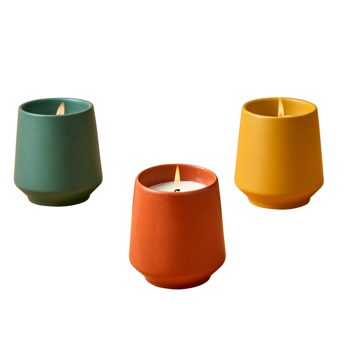 Decorative Candle, Rooted Candles for Living Rooms, Bedrooms and Relaxing Evenings, 4 Plant Type Options image 23