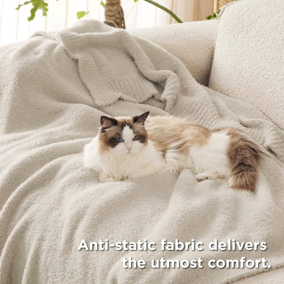 Cozy Throw Blanket, Feather Yarn, Lightweight Design, Machine-Washable Care for Sofas, Beds and Relaxing at Home, 2 Sizes and 12 Colors image 24