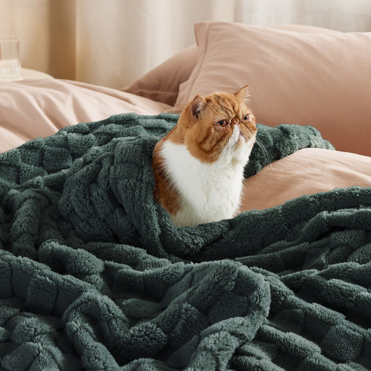 Cozy Throw Blanket, Jacquard Shaggy Sherpa for Living Rooms, Bedrooms and Everyday Lounging, 4 Sizes and 19 Colors image 27