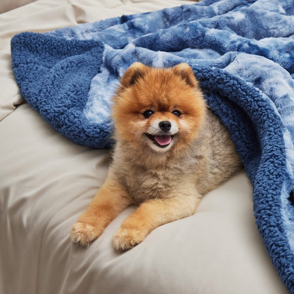 Cozy Throw Blanket, Faux Fur Sherpa Fleece for Sofas, Beds and Relaxing at Home, 4 Sizes and 10 Colors image 32