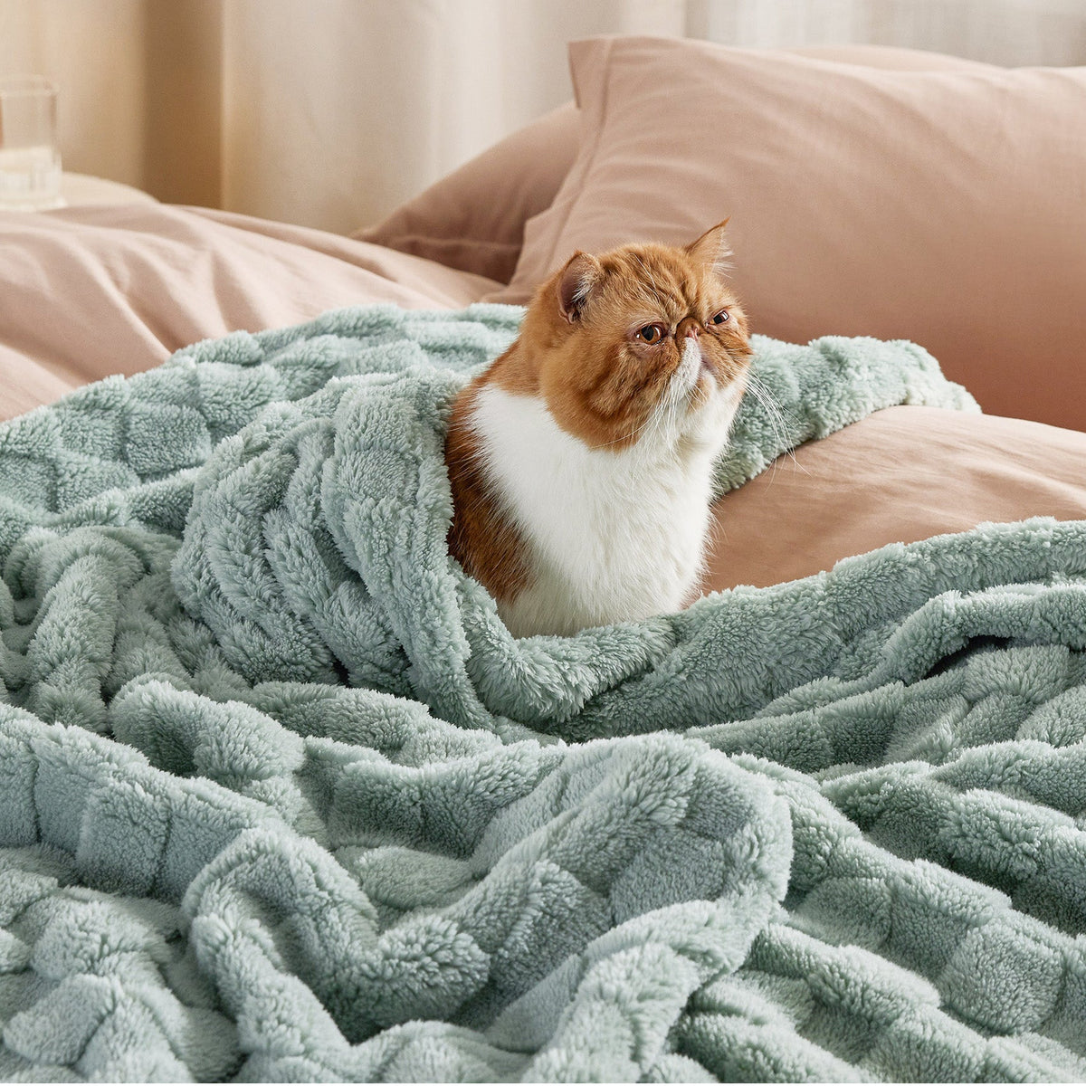 Cozy Throw Blanket, Jacquard Shaggy Sherpa for Living Rooms, Bedrooms and Everyday Lounging, 4 Sizes and 19 Colors image 33