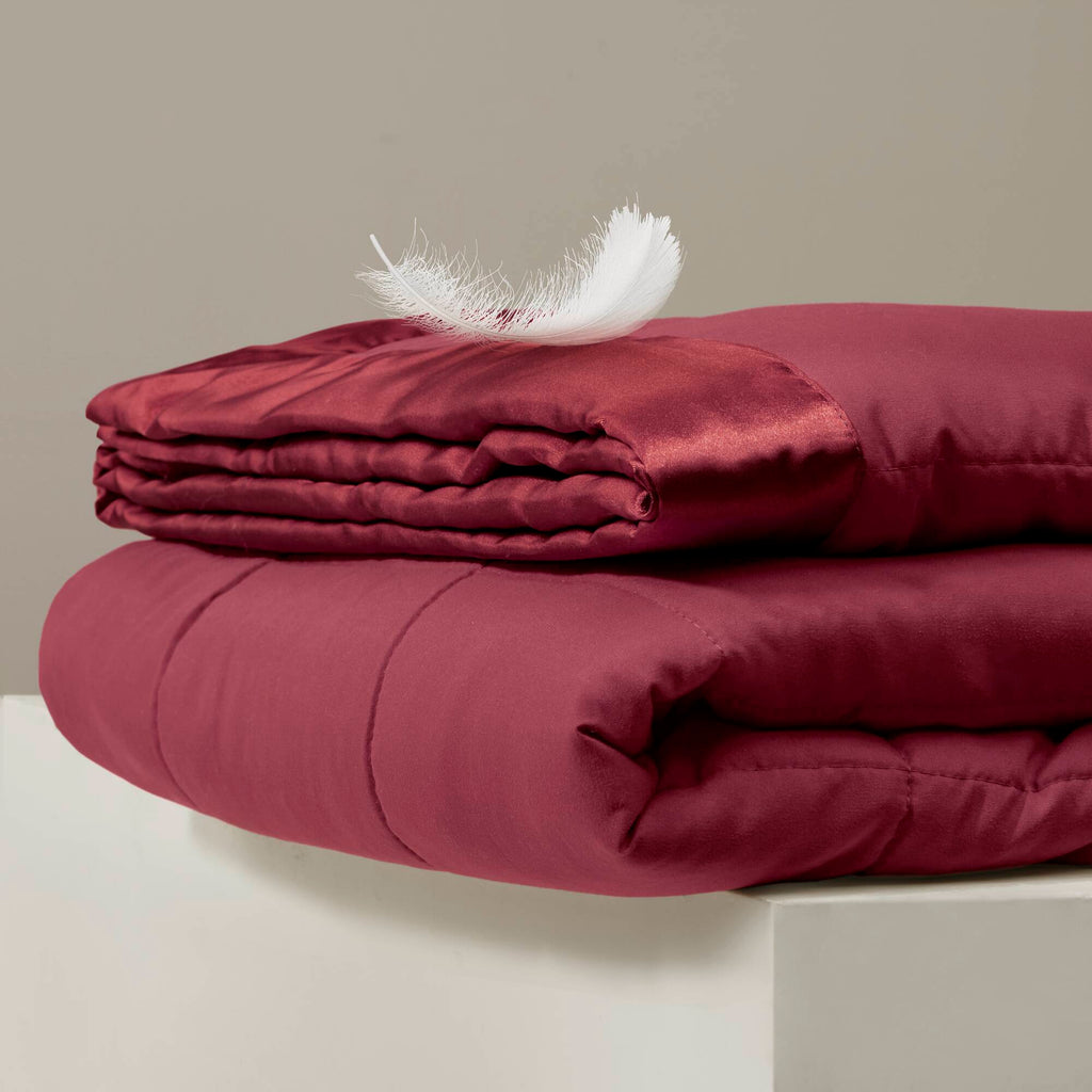 Cozy Throw Blanket, Windom Lightweight Down Alternative with Satin, Machine-Washable Care for Living Rooms, Bedrooms and Everyday Lounging image 45