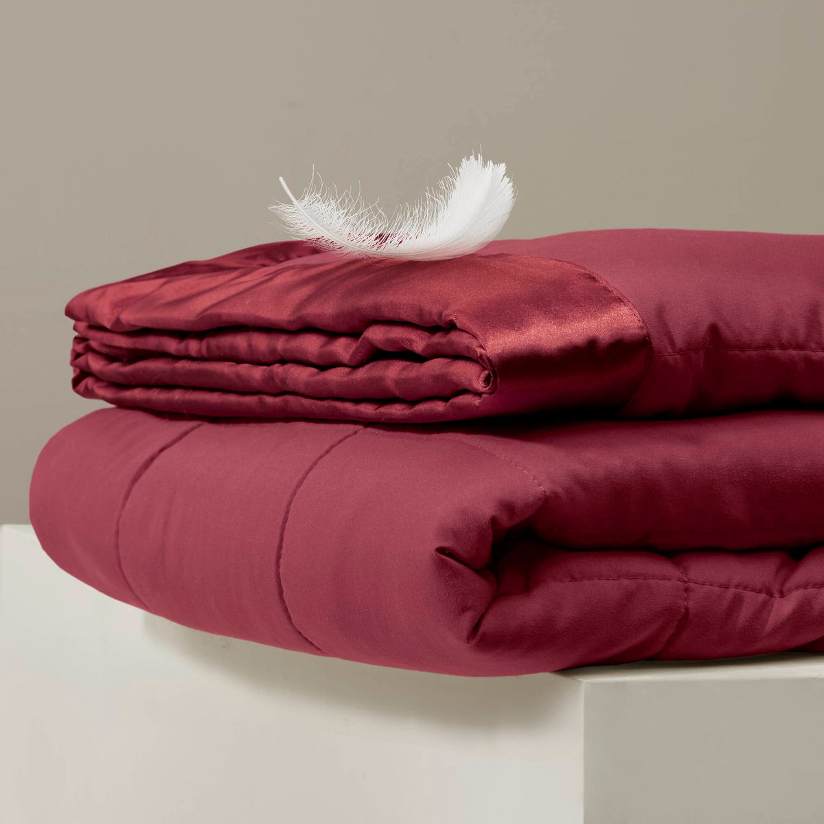 Cozy Throw Blanket, Windom Lightweight Down Alternative with Satin, Machine-Washable Care for Living Rooms, Bedrooms and Everyday Lounging image 45