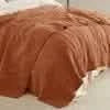 Cozy Throw Blanket, Voile Cotton Quilt Set, Lightweight Design, Breathable Construction for Sofas, Beds and Relaxing at Home image 54