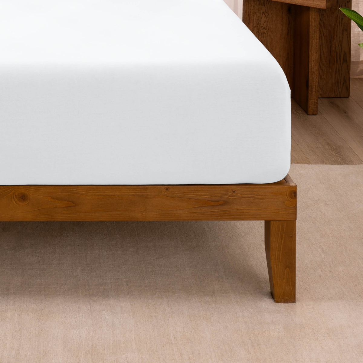 Bed Sheet Set, Organic Cotton Jersey for Master Bedrooms, Guest Beds and Daily Use, 6 Sizes and 9 Colors image 54
