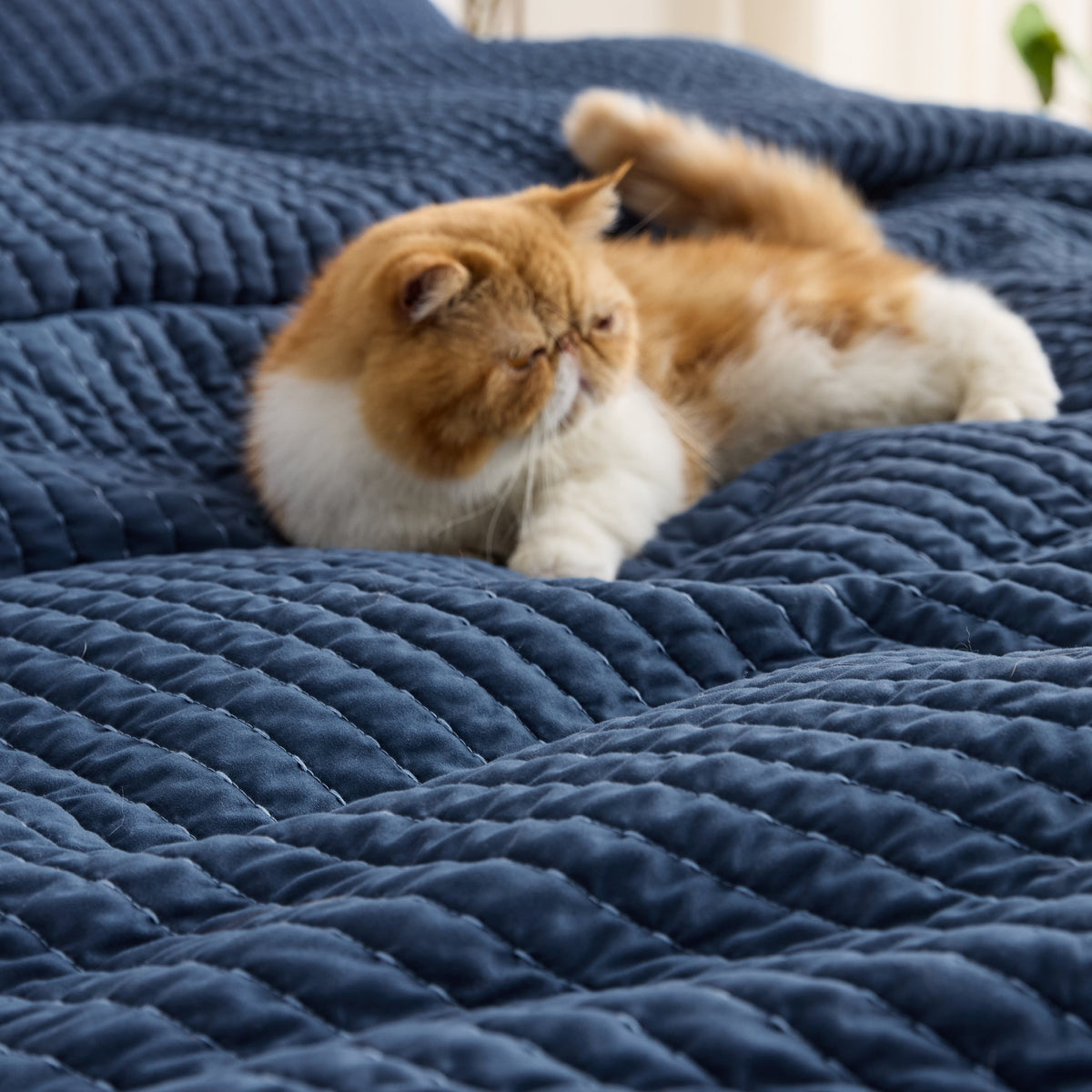 Cozy Throw Blanket, Corduroy Pattern Quilt Set, Breathable Construction for Living Rooms, Bedrooms and Everyday Lounging image 69