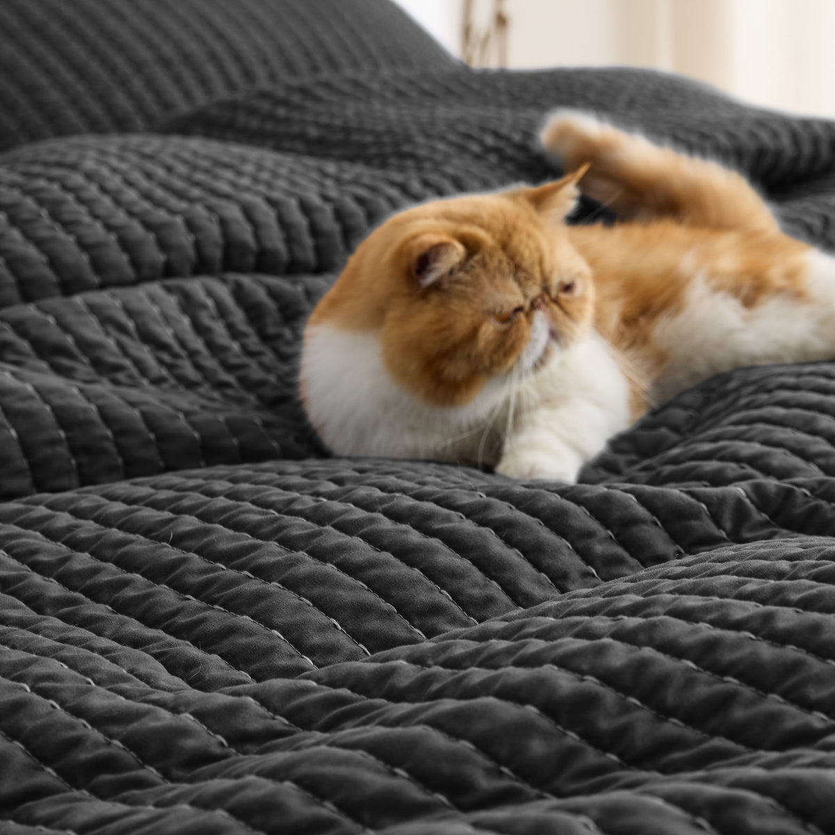 Cozy Throw Blanket, Corduroy Pattern Quilt Set, Breathable Construction for Living Rooms, Bedrooms and Everyday Lounging image 94
