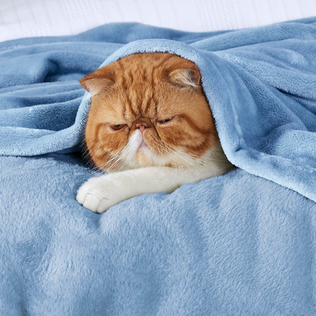 Cozy Throw Blanket, Flannel Fleece 300gsm, Lightweight Design for Living Rooms, Bedrooms and Everyday Lounging, 4 Sizes and 29 Colors image 117