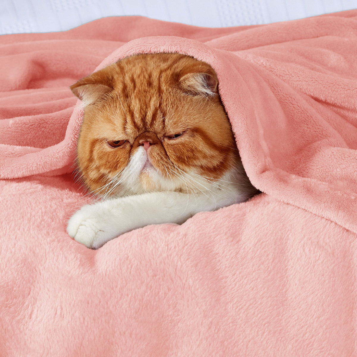 Cozy Throw Blanket, Flannel Fleece 300gsm, Lightweight Design for Living Rooms, Bedrooms and Everyday Lounging, 4 Sizes and 29 Colors image 198