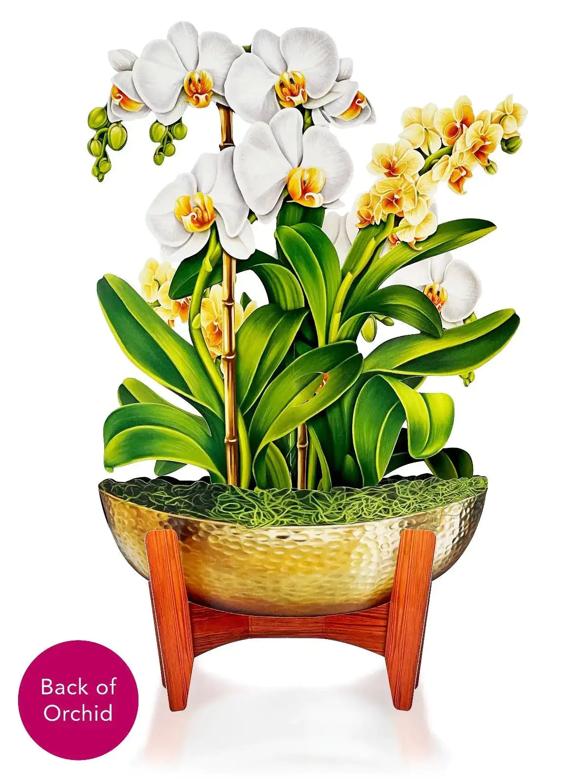 Pop-Up Paper Orchid Bouquet, White and Yellow Blossoms for Home Decor and Decorative Flower Gift Displays image 4