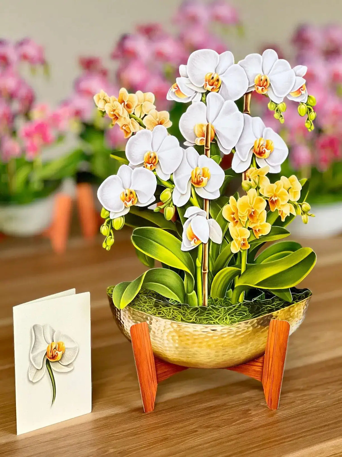 Pop-Up Paper Orchid Bouquet, White and Yellow Blossoms for Home Decor and Decorative Flower Gift Displays image 3